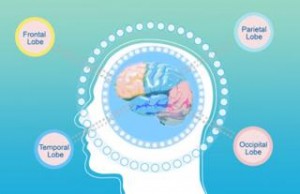 Your Daytime Fatigue And Behavioral Difficulty Might Be A Result Of Seizure Occurred During Sleep Epilepsy