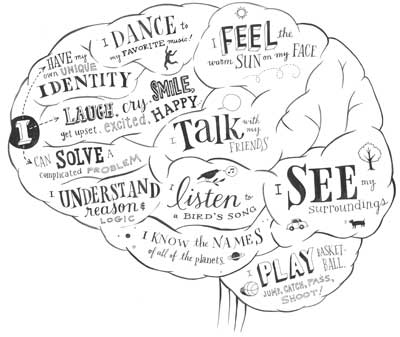 Different Functions Of The Brain